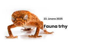 Fauna trhy - Výstaviště Černá louka